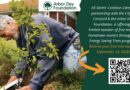 Free Trees!